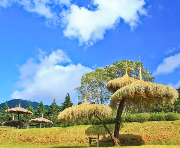 Belleza nacional cabaña hierba — Foto de Stock