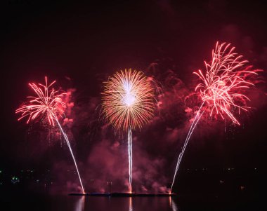 gökyüzü üzerinde güzellik gece havai fişek