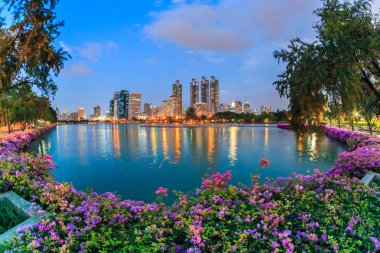 Bangkok cityscape Gölü