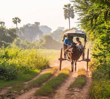 Turistlere at arabası 