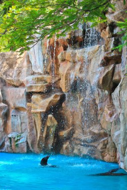 Yapay şelale Hayvanat Bahçesi