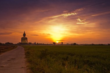 Wat muang büyük Buda heykeli