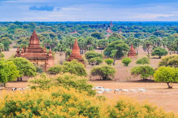 Bagan şehir Shan State — Stok fotoğraf