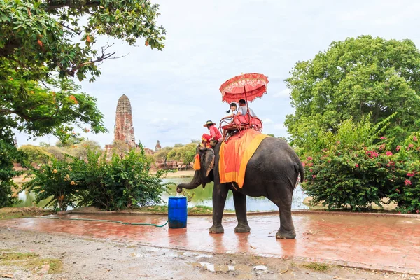 관광객 코끼리에 타고 투어 — 스톡 사진