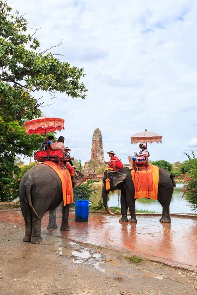 Turister på elefant rida tour — Stockfoto