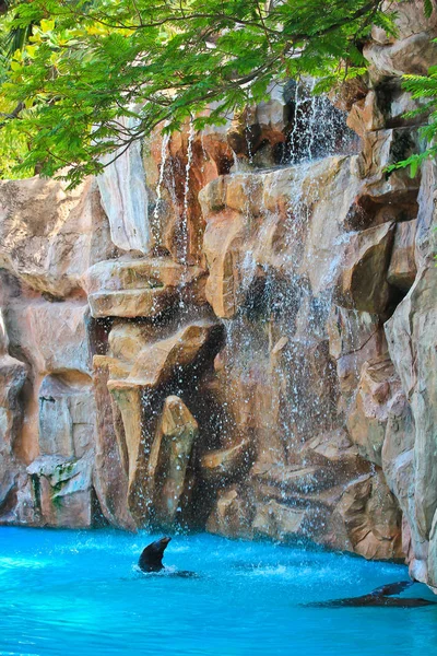 Konstgjorda vattenfall zoo — Stockfoto