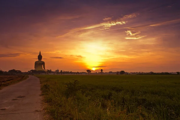 Big Buddha statue at Wat muang — Stock Photo, Image