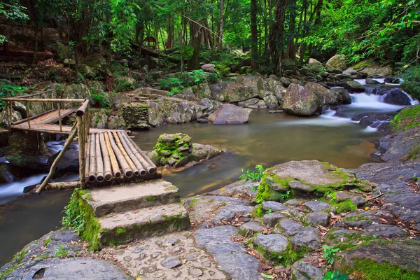 Cascada en el Parque Nacional Bosque — Foto de Stock