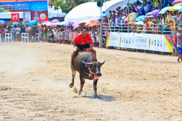 Festival yarış katılımcılar 140 Buffalo — Stok fotoğraf