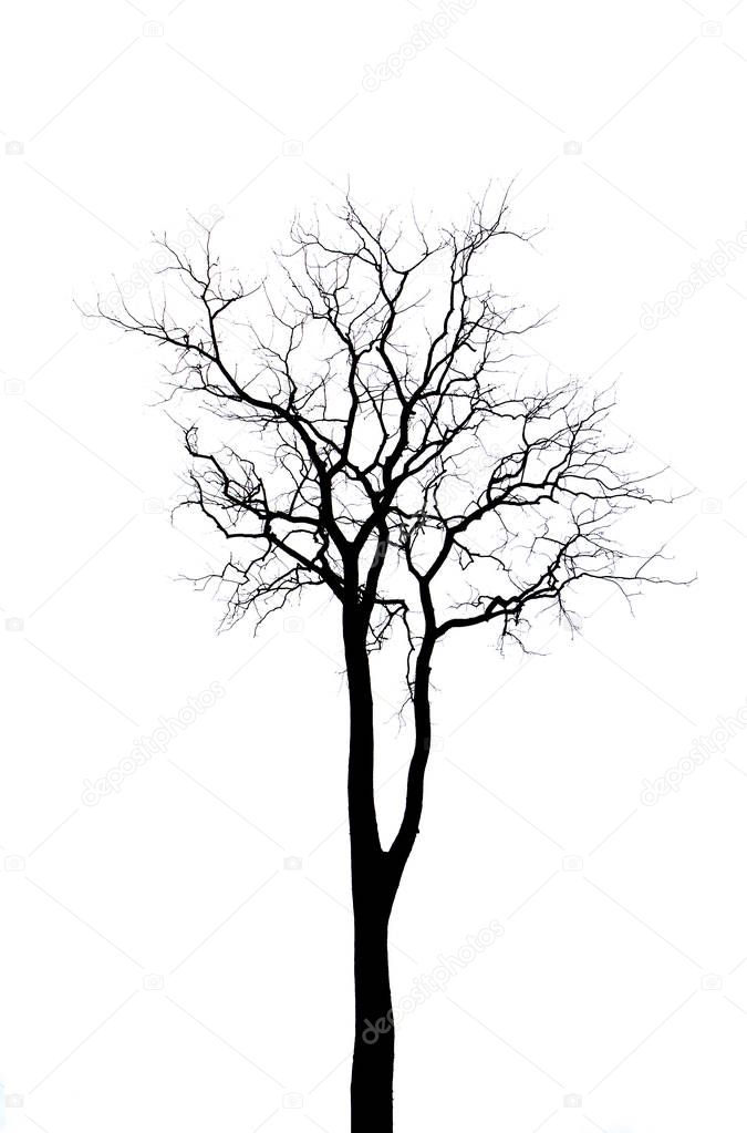 Black dead tree