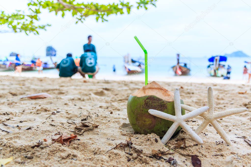 Coconut and starfishes near sea