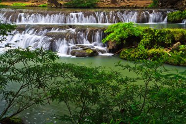 şelale orman Milli Parkı 