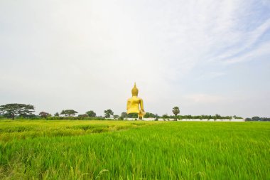 Wat muang büyük Buda heykeli