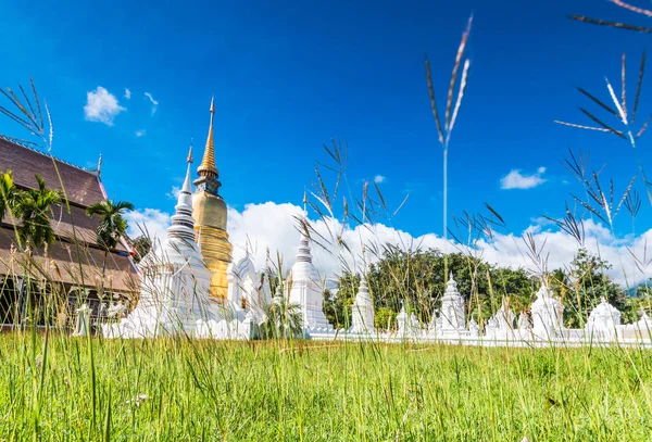 Wat Suan Dok zlatá pagoda — Stock fotografie