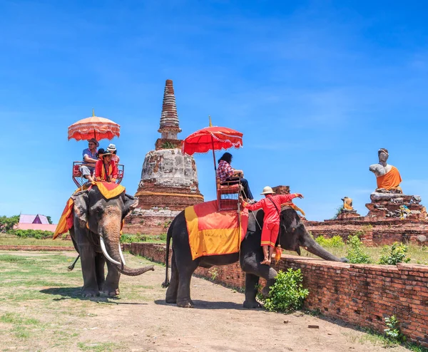 Туристы в туре на слонах — стоковое фото