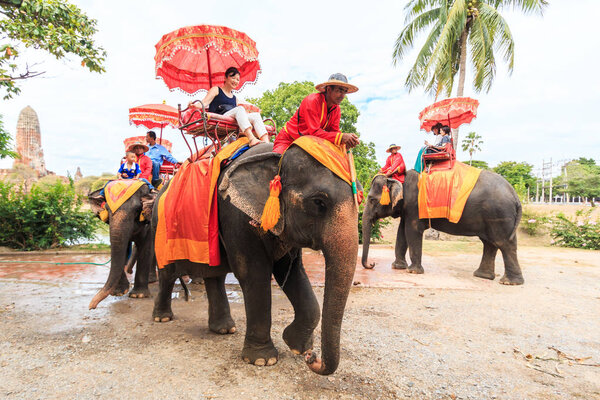Tourists on an elephant ride tour 