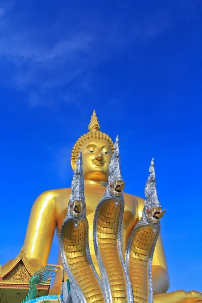 Велика статуя Будди — стокове фото