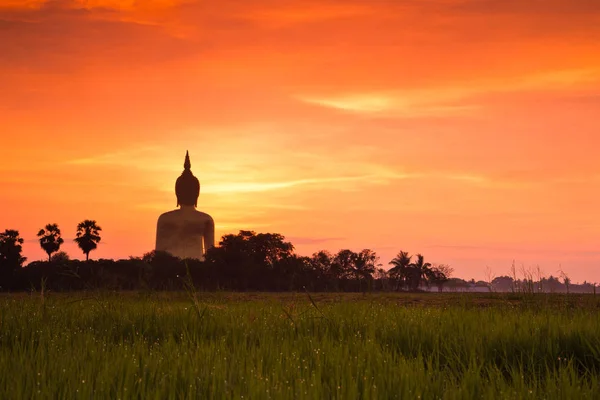 Buda de oro estatua grande —  Fotos de Stock