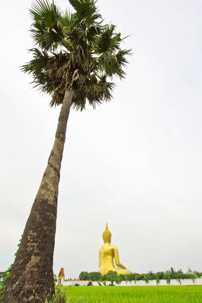 Wielki posąg Buddy w Wat muang — Zdjęcie stockowe