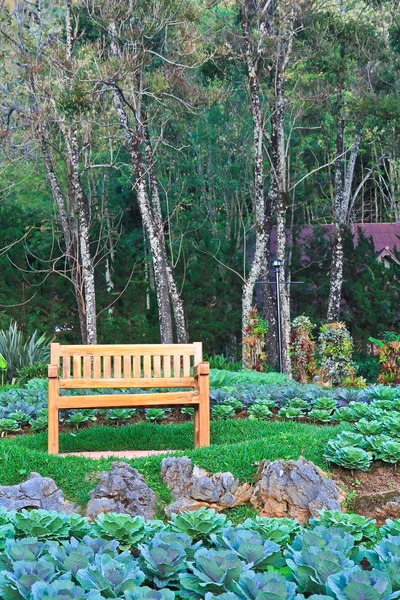 Chaise relax dans le sentier du jardin — Photo