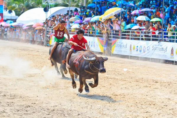 140 Buffalo kimliği belirsiz katılımcıları — Stok fotoğraf