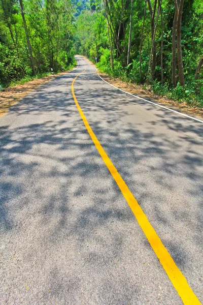 Long yellow road marking — Stock Photo, Image