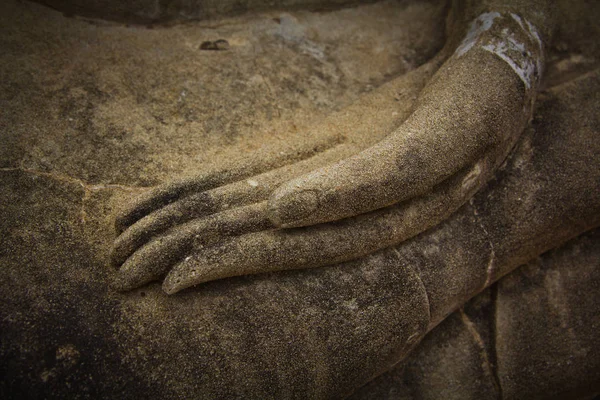 Ręka Buddy w Ayutthaya — Zdjęcie stockowe