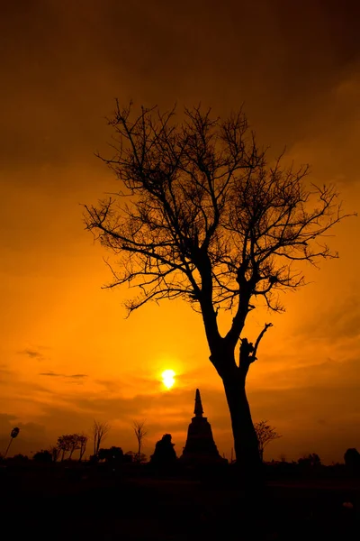 Gün batımı sırasında eski tapınak silhuette — Stok fotoğraf