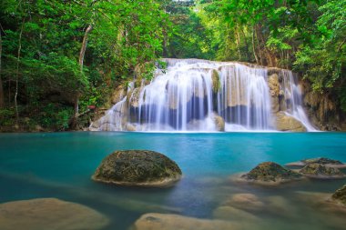 Orman şelale ve mavi akım 