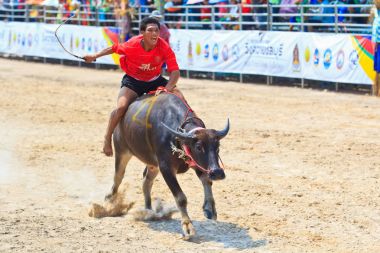 140 Buffallo kimliği belirsiz katılımcıları