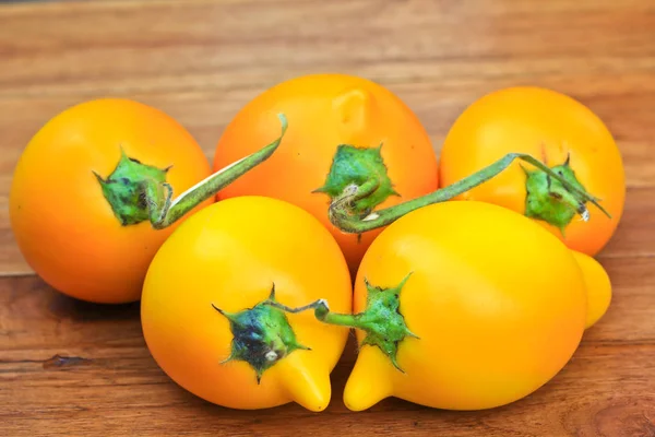 Solanum mammosum-Pflanze — Stockfoto