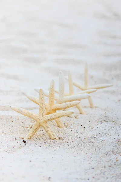 Морська зірка на пляжі пісок — стокове фото