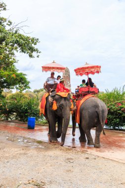 Antik kentin filler sürme turist 