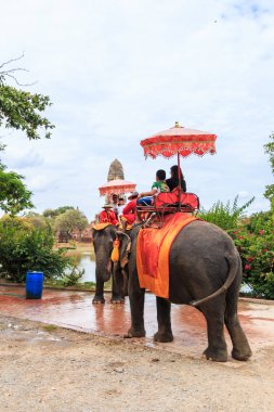 Antik kentin filler sürme turist 