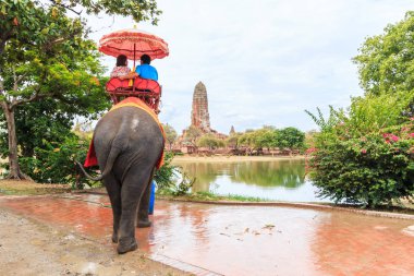 Antik kentin içinde fil sürme turist 