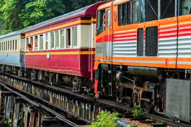Orman arasında sürme tren