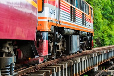 Orman arasında sürme tren