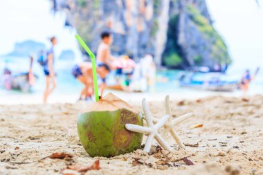 Hindistan cevizi ile sahilde deniz yıldızı 