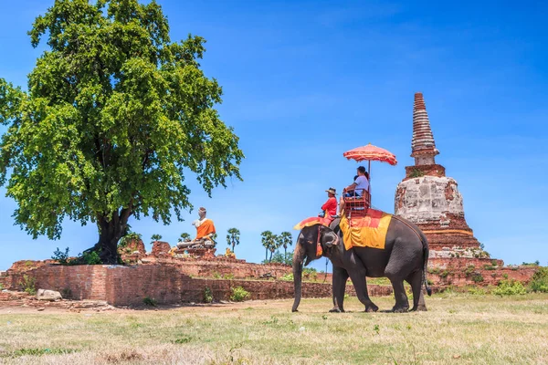 Tourists riding on elephant in ancient city — Stock Photo, Image