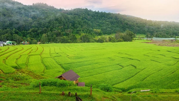 Baan Mae Klang Luang 