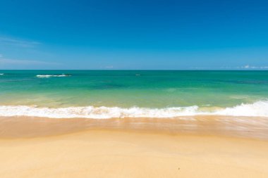 Sahilde güzel bir dalga, berrak su, beyaz kum 