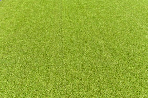 Artificial turf background under sunshine