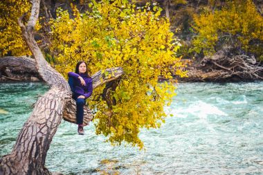 Doğal görünümü içinde Çarın Kanyonu. Güzel gezgin bir ağaç üzerinde bir