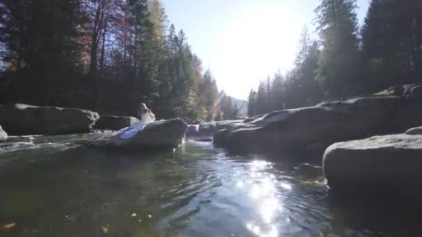 Una ragazza si siede su una roccia in mezzo al fiume — Video Stock