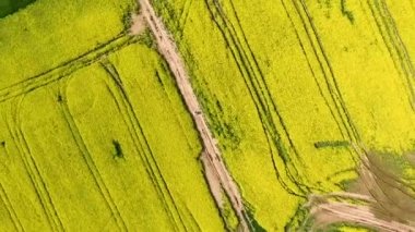 Gökten gelen sarı alan