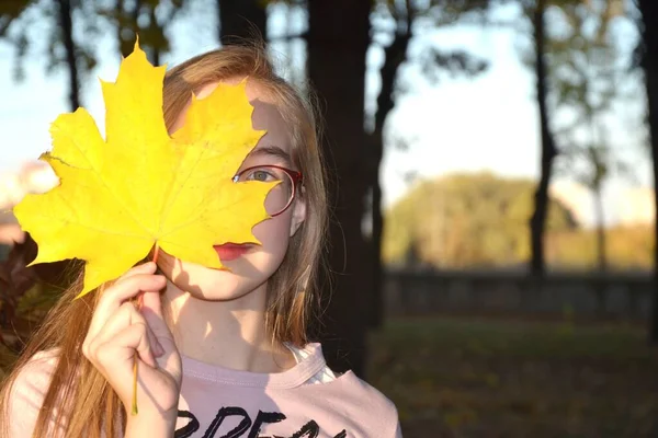 Das Junge Mädchen Mit Einem Gelben Ahornblatt Das Das Halbe — Stockfoto