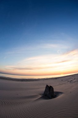 Sowiski Park Narodowy Noc