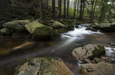Şelale Sudety dağlarında