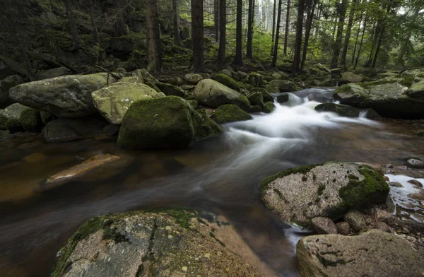 Şelale Sudety dağlarında