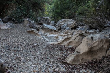 Paisaje a la altura de Rute, cordoba